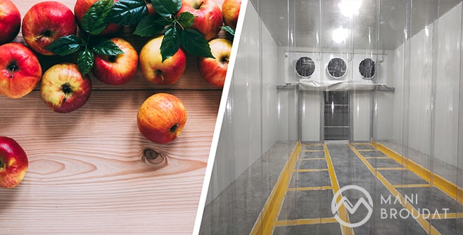 نگهداری سیب در سردخانه کنترل اتمسفر (CA)